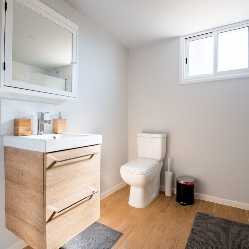 Mantenimiento de sanitarios